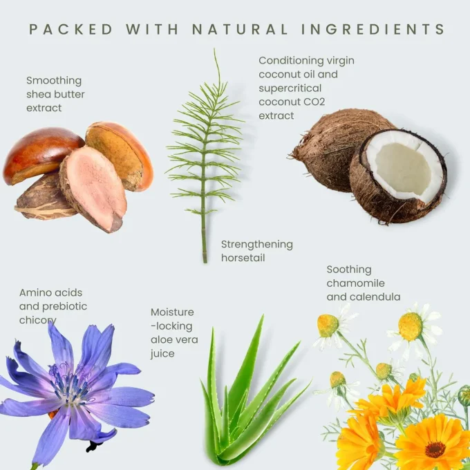 Après-Shampoing Odylique ingrédients coco camomille chicorée aloe vera karité prêle