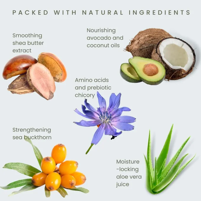 Après-Shampoing Lavande Odylique ingrédients argousier chicorée avocat coco karité aloe