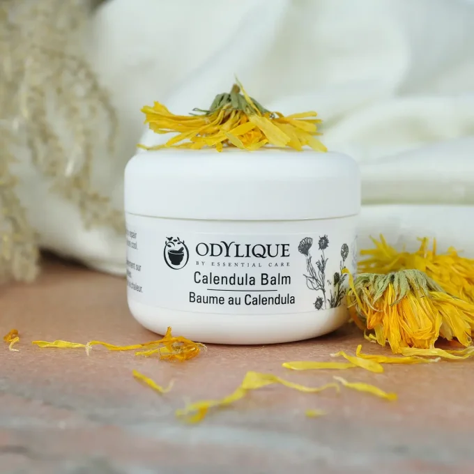Odylique Baume au Calendula – pot entouré de fleurs de calendula séchées jaunes