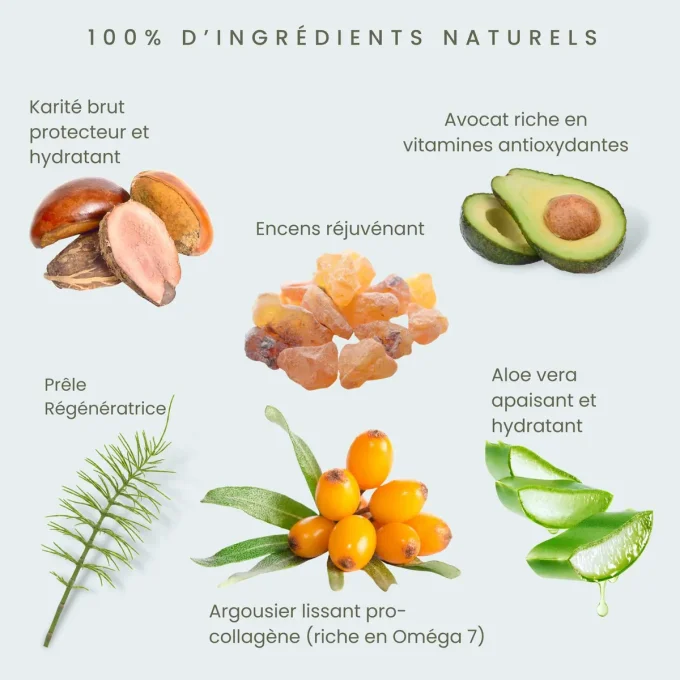 Ingrédients naturels – Karité, Avocat, Encens, Prêle, Argousier, Aloe Vera