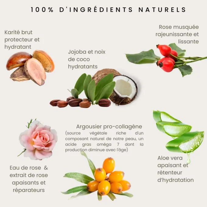 Ingrédients naturels Crème Rose Odylique – karité, rose musquée, aloe vera