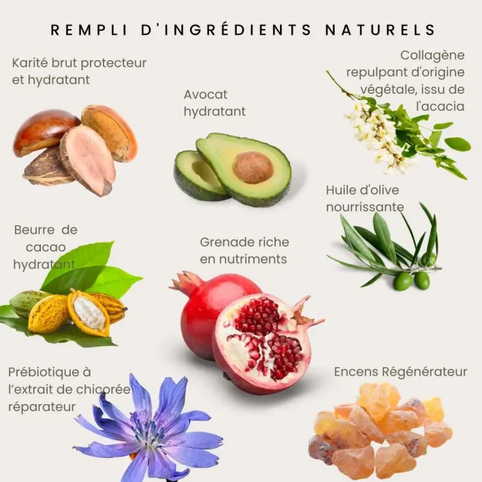 Odylique Crème Nourrissante au Prébiotique – ingrédients naturels karité, grenade, avocat, encens