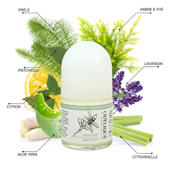 Déodorant Aloe Citron Odylique ingrédients prêle citron lavande aloe vera