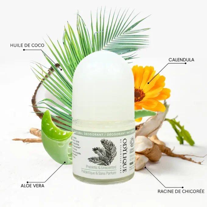 Déodorant Prébiotique Odylique ingrédients aloe vera calendula racine chicorée coco