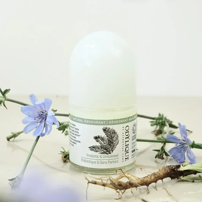 Déodorant Sans Parfum Prébiotique Odylique 50ml avec racine et fleurs de chicorée