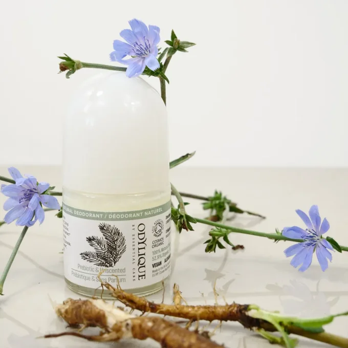 Roll-on Déodorant Prébiotique Odylique fleurs de chicorée bleues fond clair