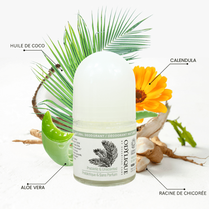 Déodorant Sans Parfum Au Prébiotique Odylique 50ml