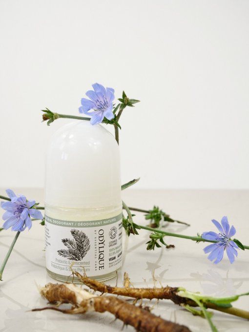 Déodorant Sans Parfum Au Prébiotique Odylique 50ml