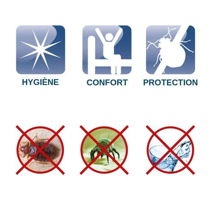 Icônes hygiène, confort et protection contre punaises, acariens et liquides