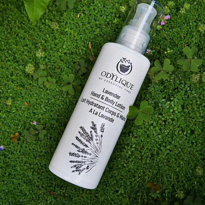 Lait Hydratant Corps & Mains Lavande Odylique sur fond de mousse verte