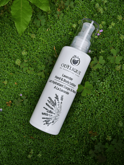 Lait Hydratant Corps et Mains à la Lavande Odylique 200ml
