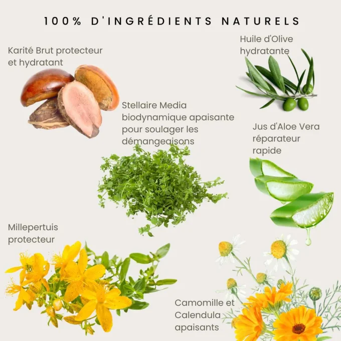 Ingrédients naturels Lotion Réparatrice Odylique – karité, aloe vera, calendula