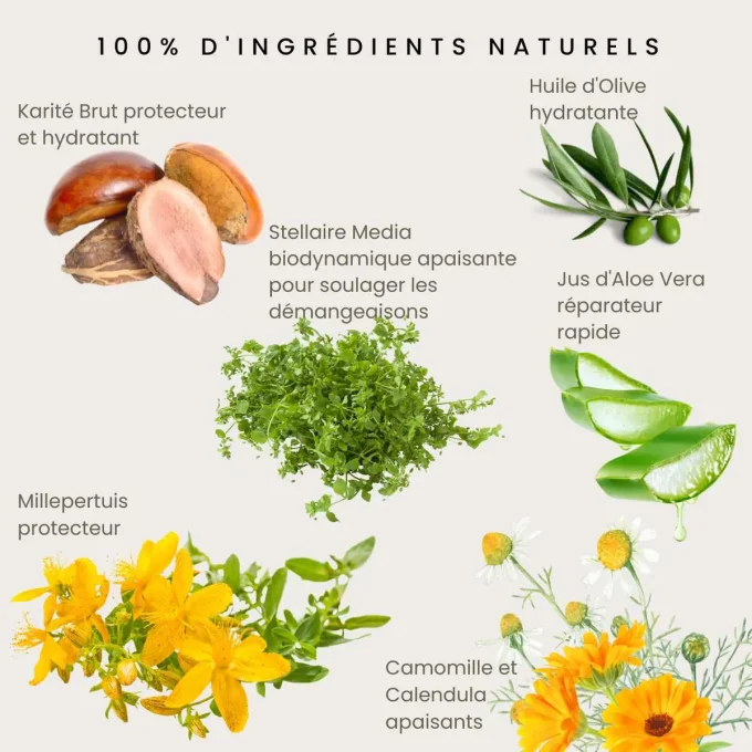 Ingrédients naturels – Karité, Aloe Vera, Camomille, Calendula, Millepertuis