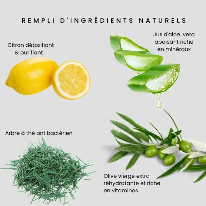 Ingrédients du Nettoyant Purifiant au Citron et à l’Arbre à Thé Odylique