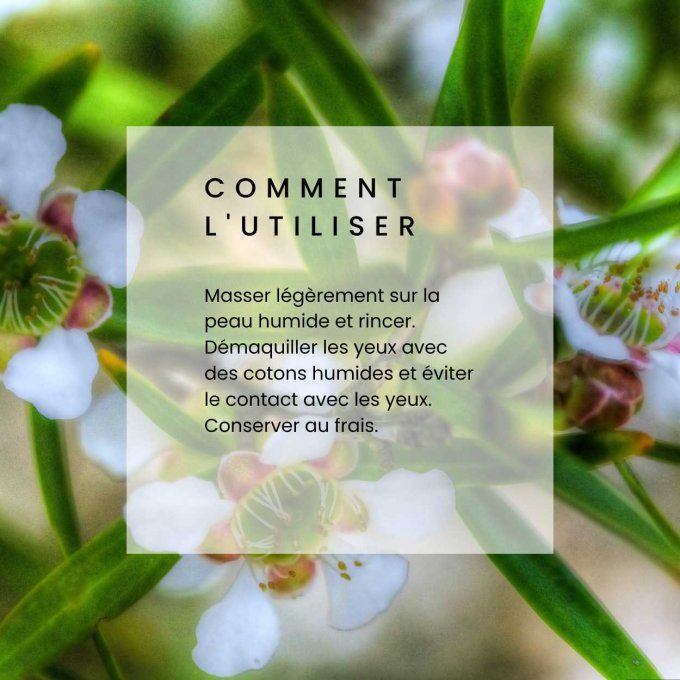 Nettoyant Purifiant au Citron et à l'Arbre à Thé Odylique