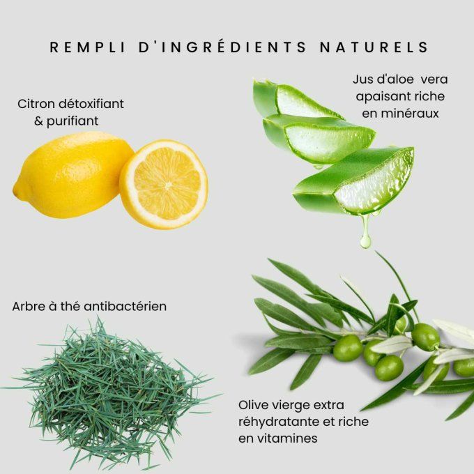 Nettoyant Purifiant au Citron et à l'Arbre à Thé Odylique