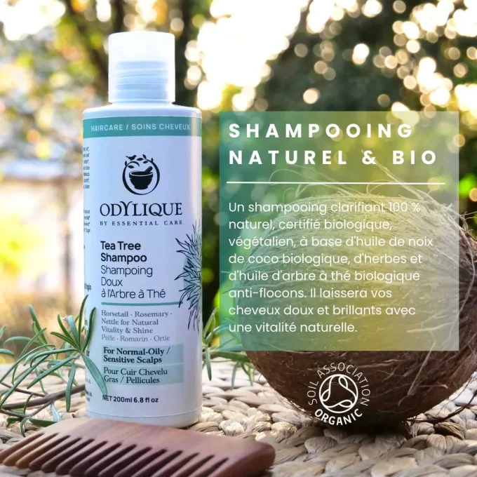 Shampoing Arbre à Thé Odylique 200ml naturel bio cuir chevelu gras pellicules