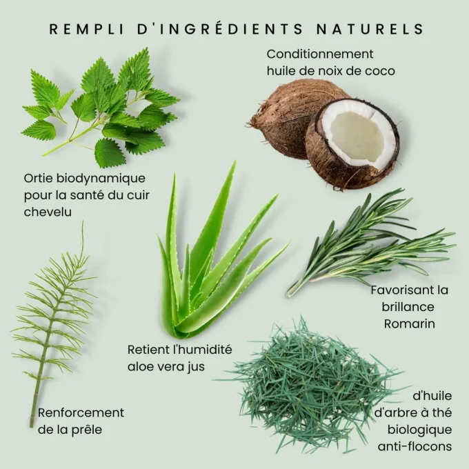 Shampoing Arbre à Thé Odylique 500ml ingrédients ortie romarin aloe vera prêle