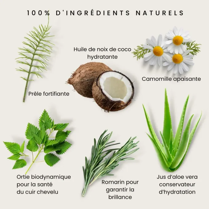 Shampoing Extra-Doux aux Plantes Odylique