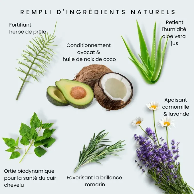 Shampoing Lavande Odylique ingrédients prêle avocat coco aloe vera camomille romarin