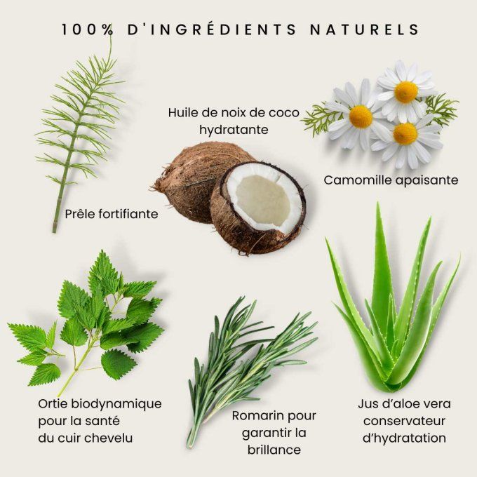 Shampoing Extra-Doux aux Plantes Odylique