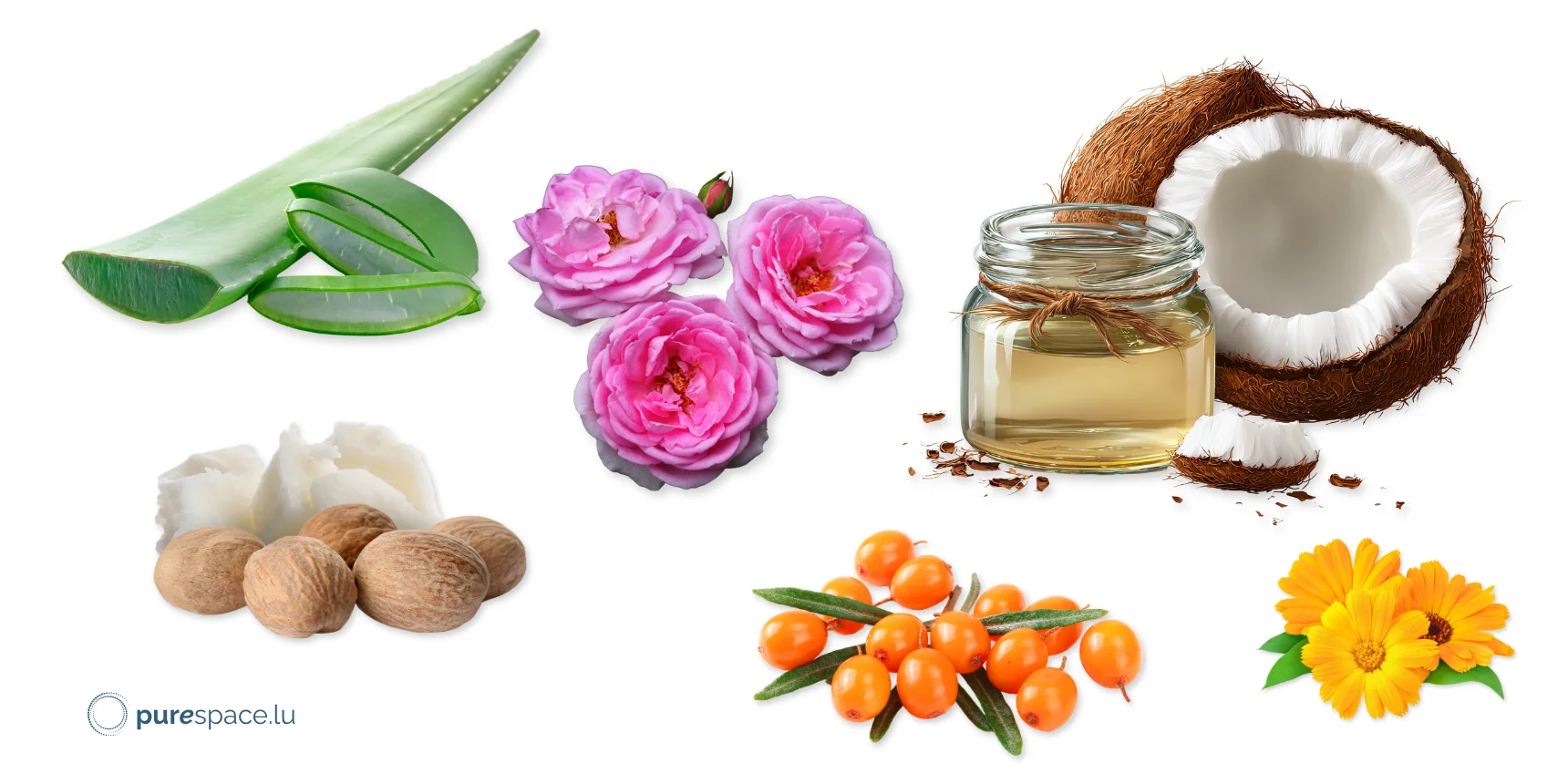 Ingrédients naturels et bio des cosmétiques Odylique