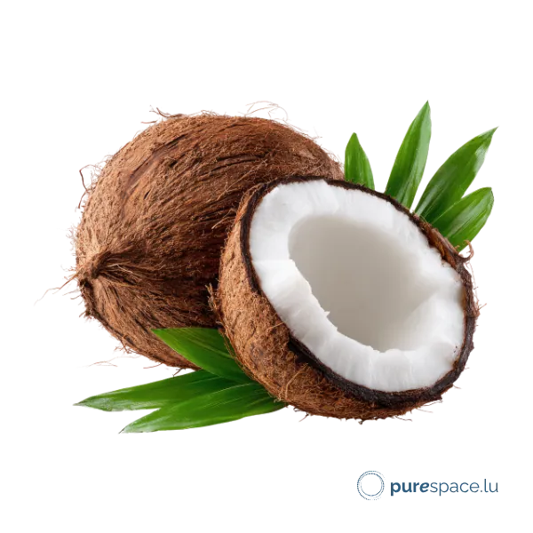 Noix de coco, source d'huile de coco vierge bio des soins Odylique