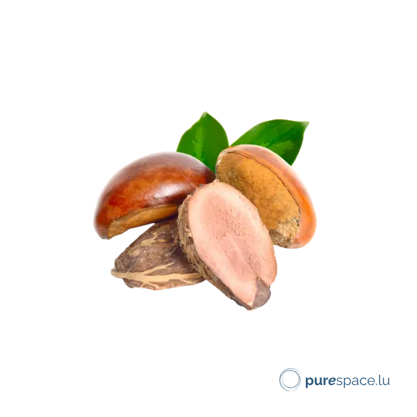 Noix de karité, source de beurre de karité équitable – soins Odylique